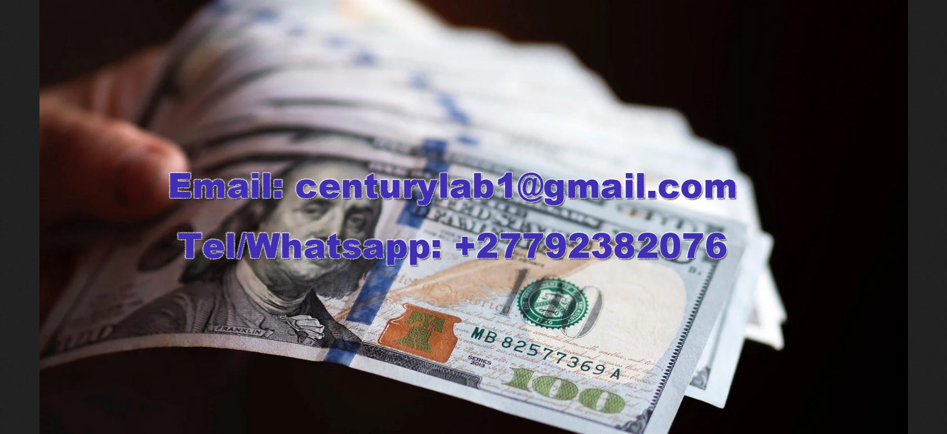 Restauración Profesional